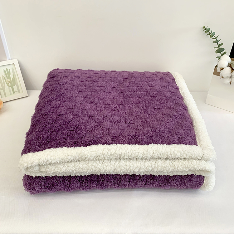 Super Soft Warm Double Layer Plush Fleece Throw Sherpa Blanket