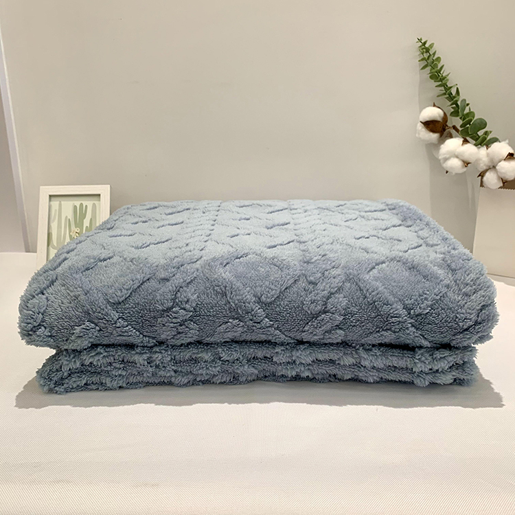 Popular Color Flannel Fleece Super Soft Promotion Blanket