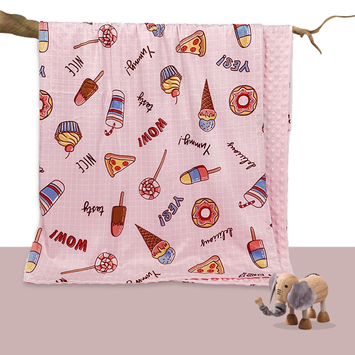 Cute Food Printed Super Soft Double Layer Fleece Minky Dot Baby Blanket