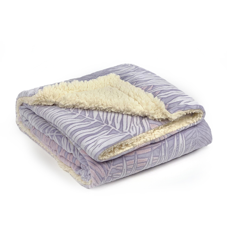  Printed Super Soft 2 Ply Plush Sherpa Flannel Throw Blanket